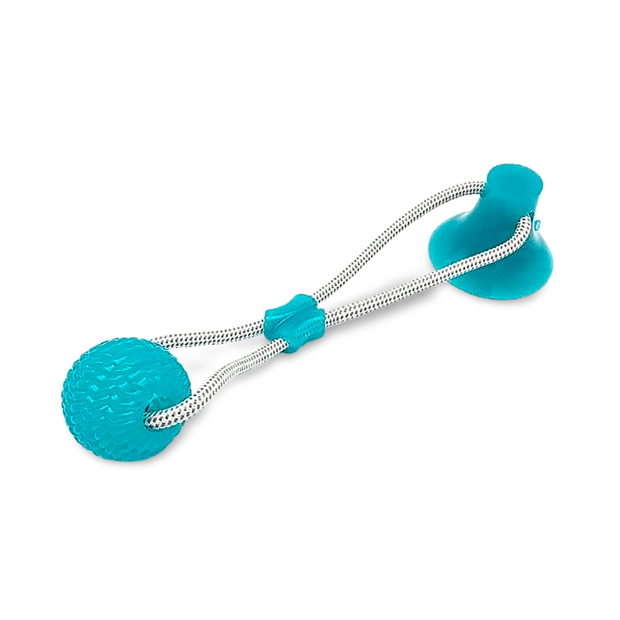 Suction Dog Toy